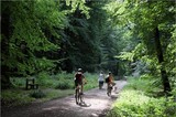 Forêt de Marly le Roi
