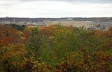 En forêt de Versailles
