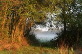 Trou de l'enfer forêt de Marly