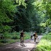 Forêt de Marly le Roi
